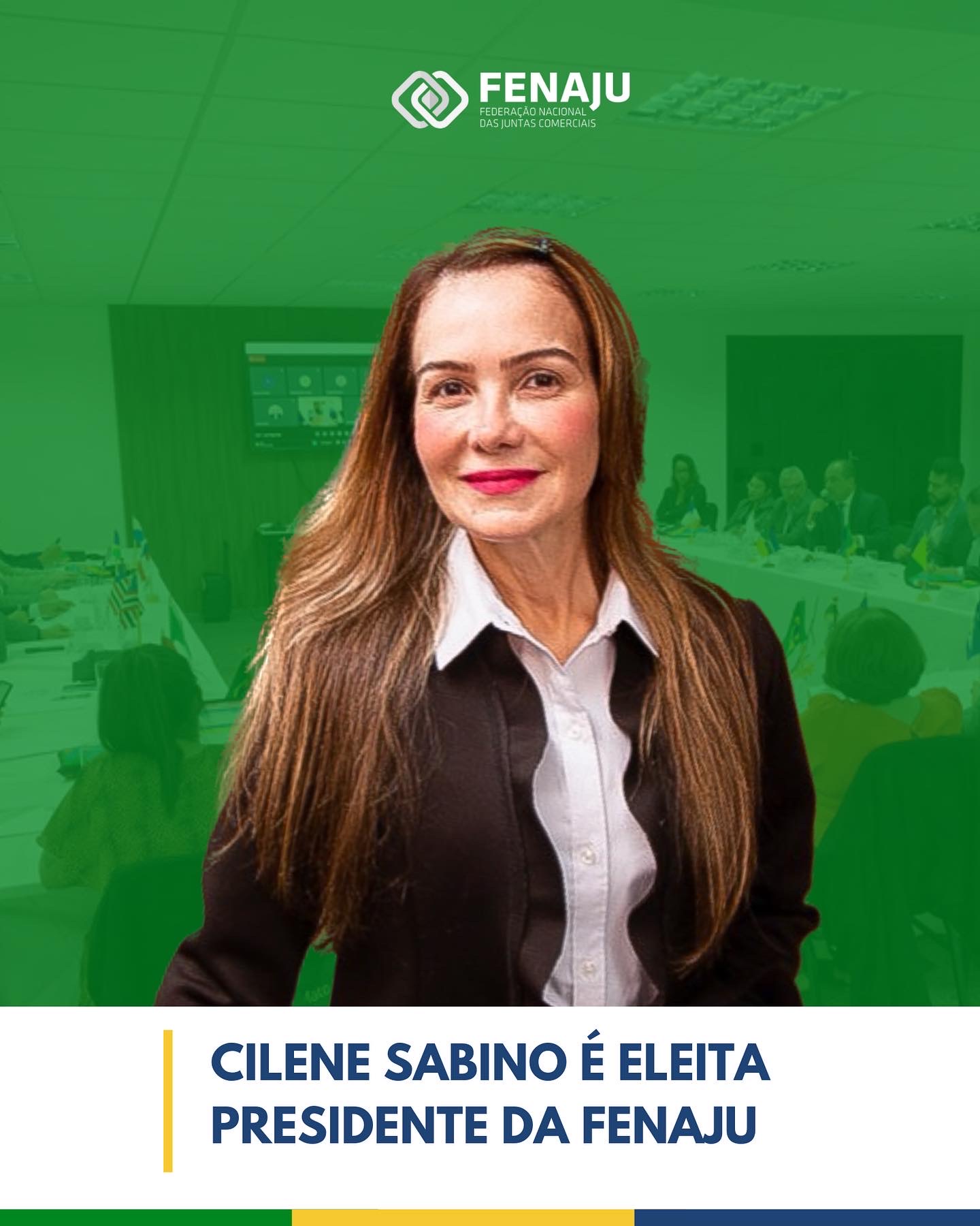 Read more about the article Cilene Sabino é eleita presidente da FENAJU